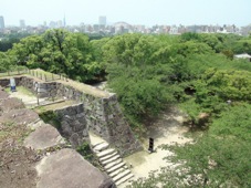 Fukuoka Castle